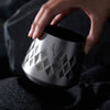 Paragon Insulated Stainless Steel Whiskey Taster Platinum