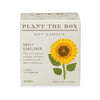 Kobo Sweet Sunflower Candle