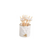 Gold Edge Toothpick Caddy