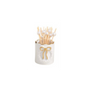 Gold Edge Toothpick Caddy